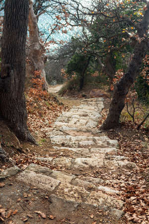 Rough stone steps round the hill on the way down among the deciduous forest by the sea in Crimea