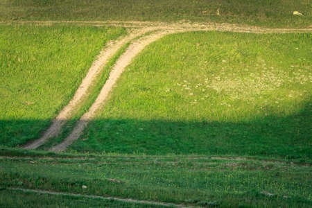Sandy road wagging among the green fields of spring, rotates among the meadow grass