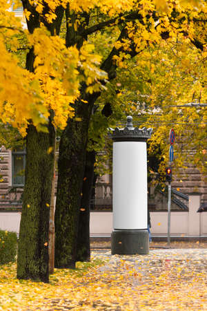 An advertising pillar on the street in the city under the autumn treesの写真素材