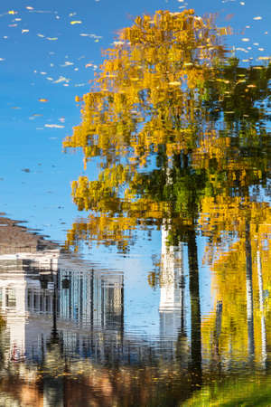 In the city pond in the park of Riga. Reflections of Stella of Freedom Monument, the building and autumn orange treeの写真素材