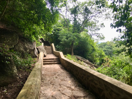 Dambulla, Sri Lanka, November 2019 - A stone path in a forest. High quality photo