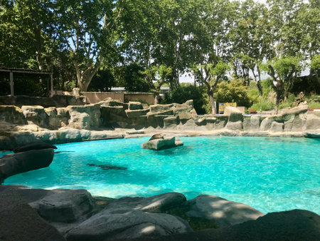 Barcelona, Spain, June 2019 - A blue pool of water. High quality photoの写真素材