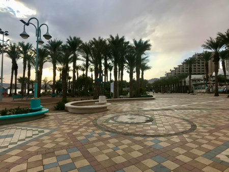 Eilat, Israel, November 2019 - A group of palm trees on the side of a building. High quality photo