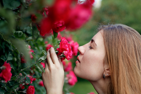 portrait of a cute girl with a rose in her handの写真素材