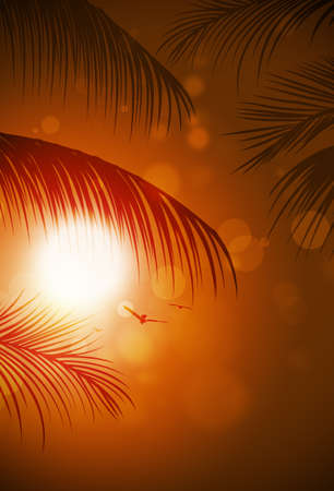 beautiful and dreamy sunset ocean view with palm trees in tropical seascape. warm red bannerの写真素材