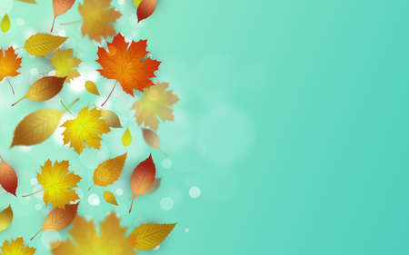 autumn fall of yellow leaves. bright decoration bannerの写真素材