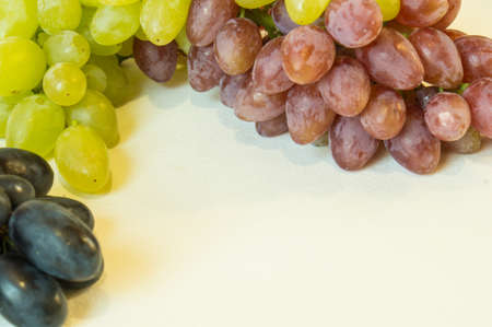 Grapes. White, pink and dark blue on a white background.の写真素材
