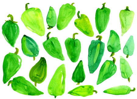 A lot of green sweet pepper on a white background. Watercolor. Isolated. Templateの写真素材