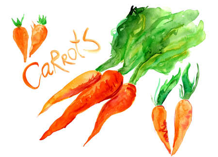 A bunch of bright carrots with greens and the inscription `Carrots.` Two Carrots in the form of a heart `love-carrots`の写真素材