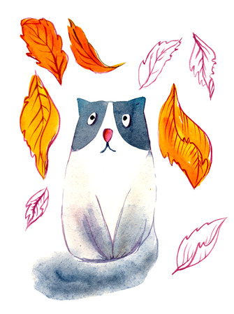 Sad cat in autumn leaves watercolor. Illustration, isolation objectsの写真素材