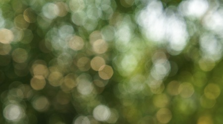abstract blurred natural backgroundの写真素材