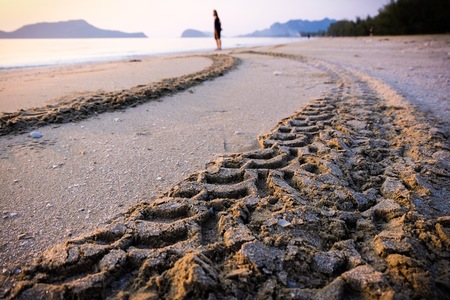 Trace or mark from tire of vehicle which someone drive on the sand beach. Copy space and unbalanced photo concept.の写真素材