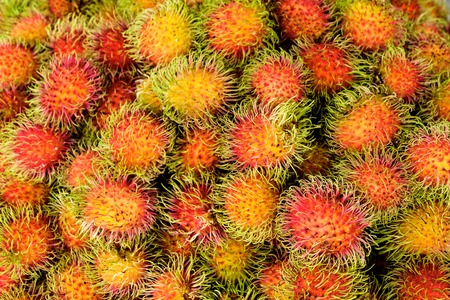 colorful heap of rambutans. Rambutan is tropical fruit  and it is famous  for Chinese  Thai and south east asia people.の写真素材