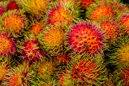 colorful heap of rambutans. Rambutan is tropical fruit  and it is famous  for Chinese  Thai and south east asia people.の写真素材