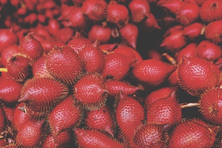 Tropical fruit,Sala or Zalacca it is sweet and sour fruit from Thailand. Sala or Zalacca are sold in the normal market until convenience store of modern tradeの写真素材
