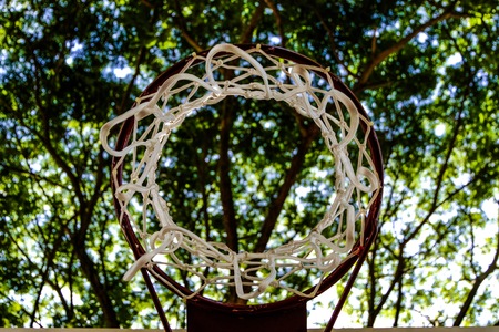 Basketball goal and net against with trees branch in the morning time playing sport activity.の写真素材