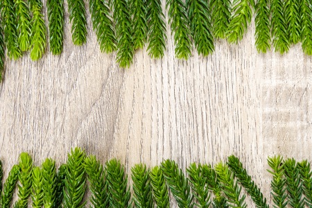 Green pine leaf on light wooden for background and texture. It use for decorative for online...