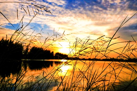 Silhouette of the grass  with golden sunlight with shadow from lake and clouds sky in sunset time.Beautiful natural landscape and sun beam in autumn season.の写真素材