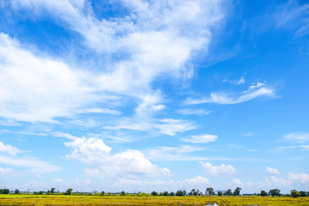 Beautiful view of white clouds and blue sky with yellow meadowの写真素材