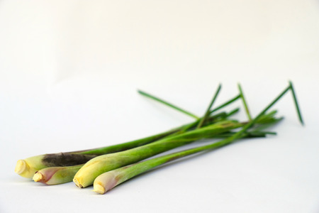 Close up isolated of fresh lemon grass herbal on white background which it is Thailand and Asian herb.の写真素材