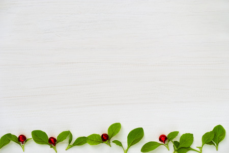 Christmas and Happy new year composition.  green leaf and red ball on white background. Flat lay, top view, copy space use for template and greeting card.の写真素材