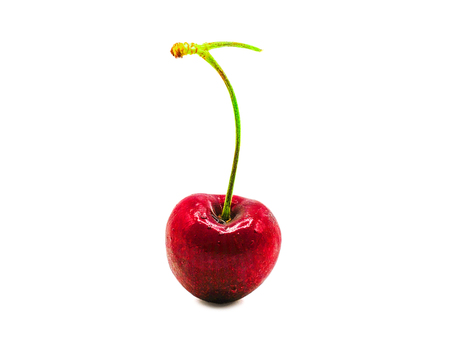 One red fresh cherry isolated on white background.