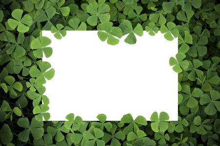 Flat lay creative of white paper card note on minimal nature green leaf. Reservation environment and copy space concept for add text.の写真素材