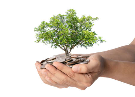 Isolated of Tree growth on two hand holding heap of coins on white background , Money saving for investment concept.の写真素材