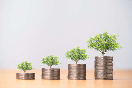 Growing trees on increasing coins stacking for growth money saving and business profit investment...