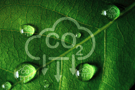 CO2 reducing icon on green leaf with water droplet for decrease CO2 , carbon footprint and carbon credit to limit global warming from climate change, Bio Circular Green Economy concept.の写真素材