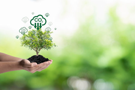 Hand with tree with carmon reduction icon for trees absorb carbon dioxide to carbon credit footprint ,limit global warming from climate change and Kyoto protocol in 2050 concept.の写真素材