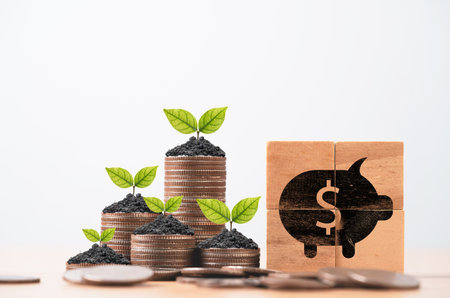 Tree growth on increasing coins stacking with piggy bank for money saving to investment dividend and profit concept.の写真素材