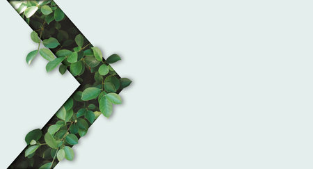 Beautiful Natural green leaf on light green background design with copy space for environment and organic product material marketing concept.の写真素材