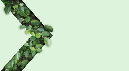 Beautiful Natural green leaf on light green background design with copy space for environment and organic product material marketing concept.の写真素材