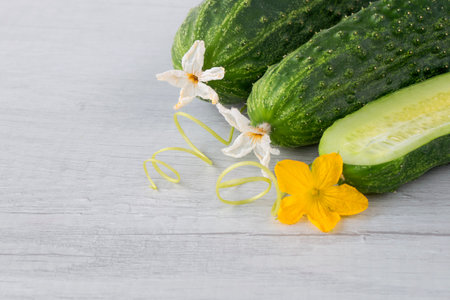 cucumbers on a white tableの写真素材