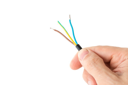three-core wire in a hand close-up, on a white isolated background