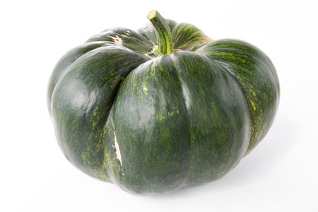 green pumpkin on white isolated backgroundの写真素材