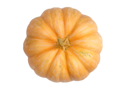 pumpkin, top view, on an isolated white backgroundの写真素材