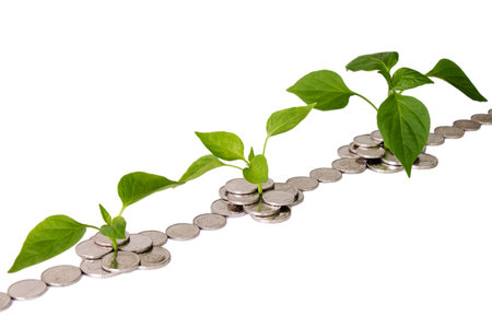 plants grow from coins isolated on white backgroundの写真素材