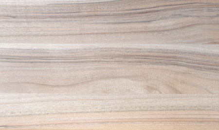 wood texture, fragment of hardwood wood panel, walnutの写真素材