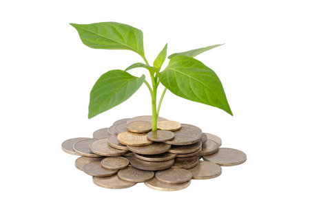 plants grow from coins isolated on white backgroundの写真素材