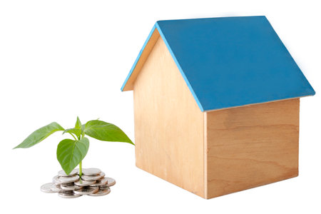 a plant has grown from a pile of coins next to a plywood house, close-up on an isolated white backgroundの写真素材