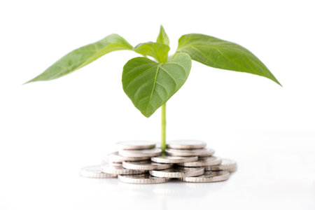 plant grow from coins isolated on white backgroundの写真素材