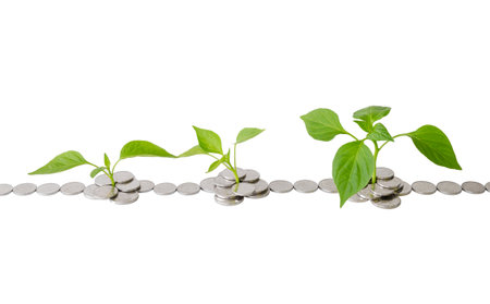 plants grow from coins isolated on white backgroundの写真素材