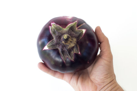 ripe round eggplant in the palm, on an isolated white backgroundの写真素材