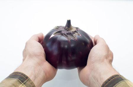 ripe round eggplant in the palms, on an isolated white backgroundの写真素材