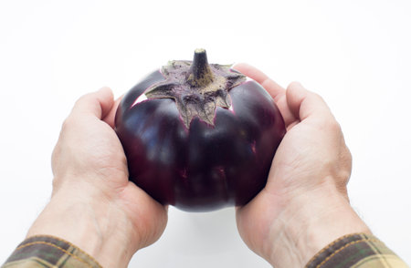 ripe round eggplant in the palms, on an isolated white backgroundの写真素材