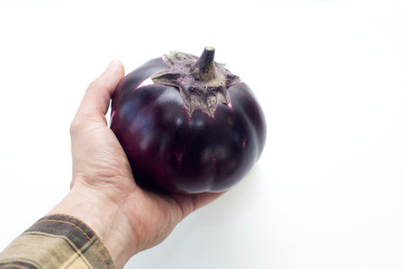 ripe round eggplant in the palm, on an isolated white backgroundの写真素材