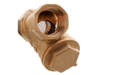 coarse water filter for plumbing works, material - brass, cut out.の写真素材
