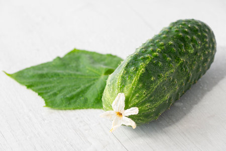 fresh cucumber, close-up on a white backgroundの写真素材